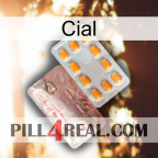 Cial new13